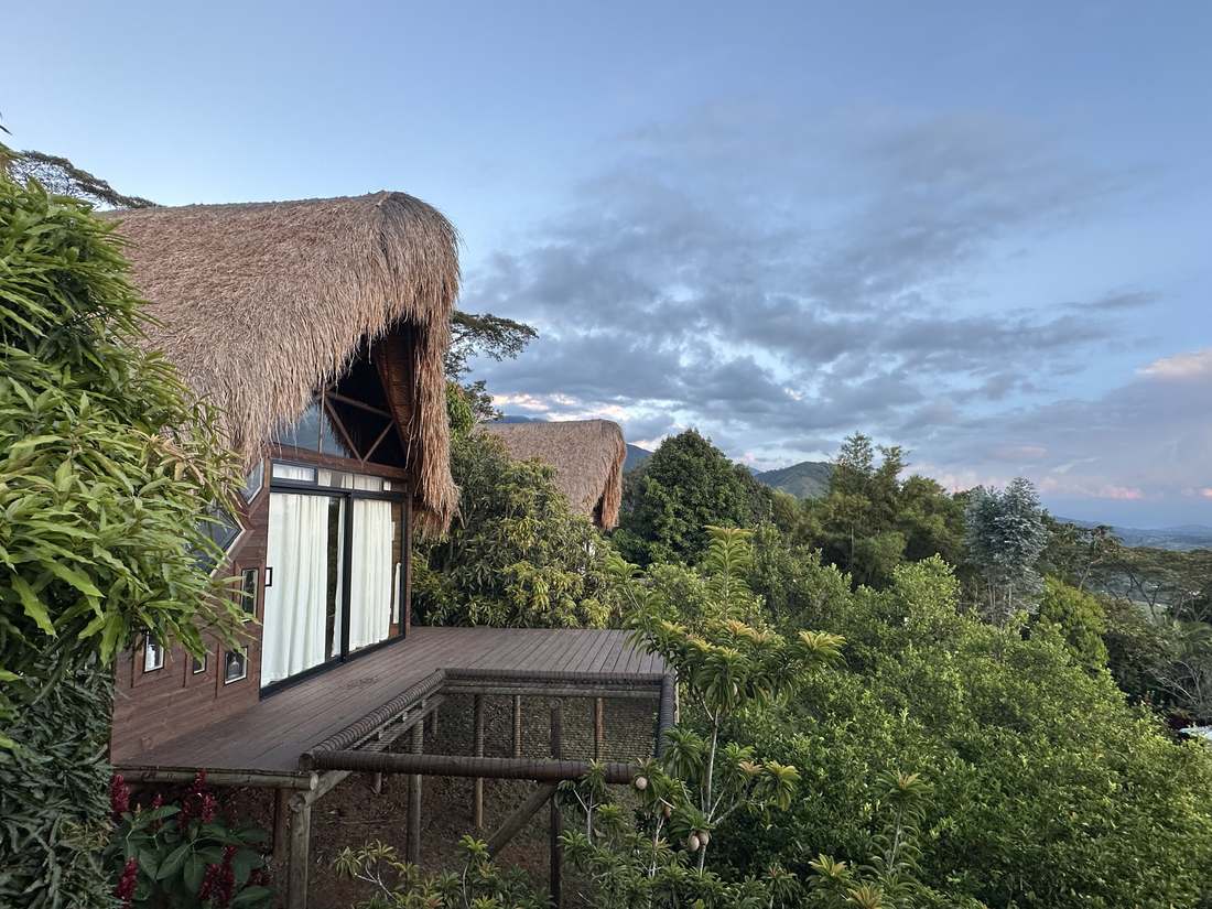 Palm-thatched cabin with valley view