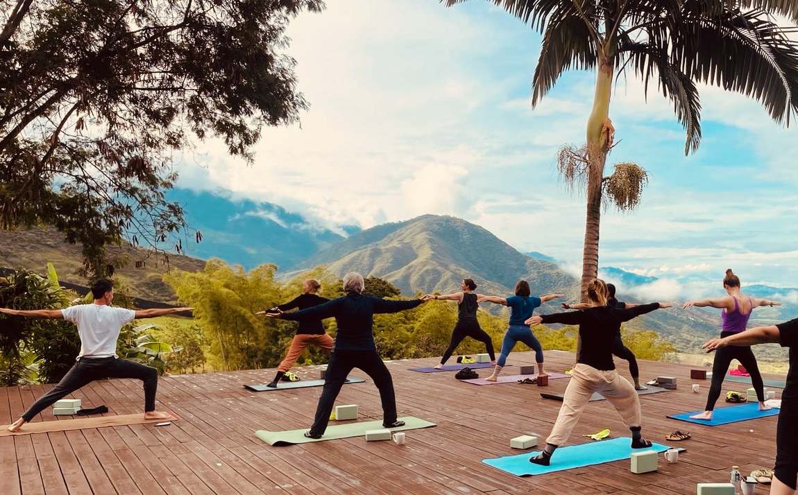 Yoga and wellness retreat